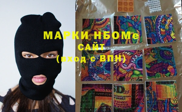 прущие грибы Вязники